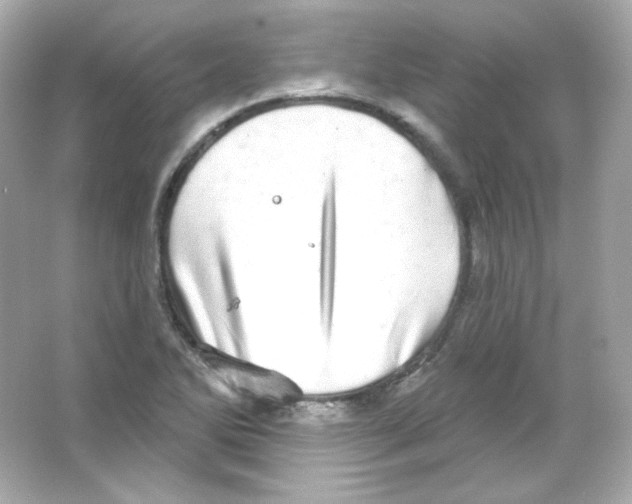 X0000065261270200603172221