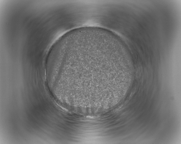 X0000065261271200603172221