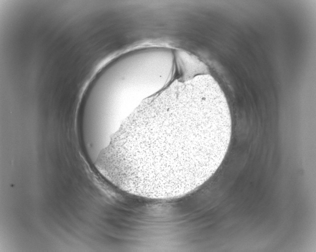 X0000065261272200603172221