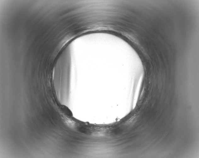 X0000065261273200603172221