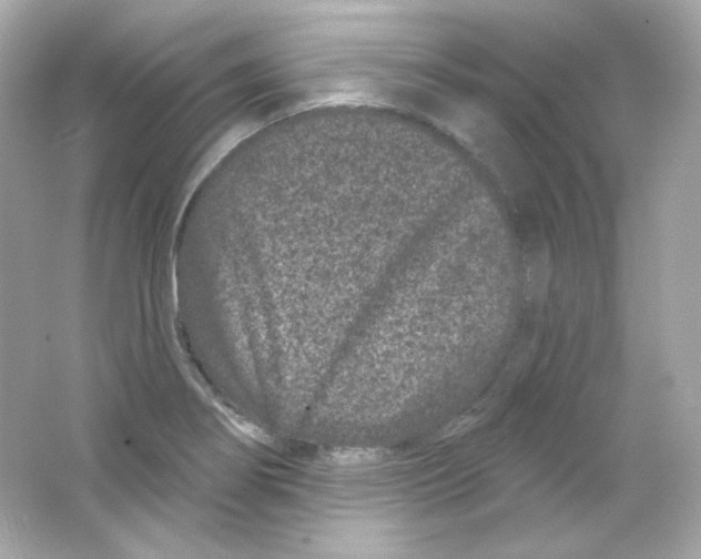 X0000065261274200603172221