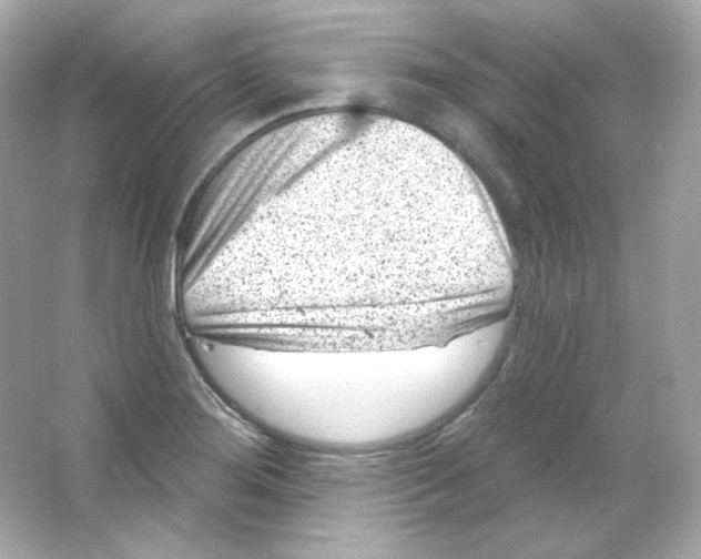 X0000065261276200603172221