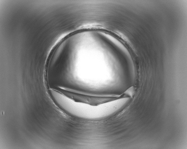 X0000065261277200603172221