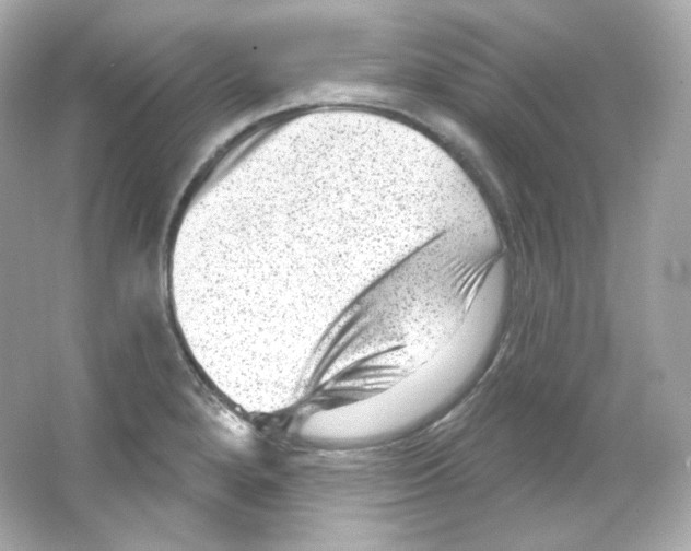 X0000065261280200603172221