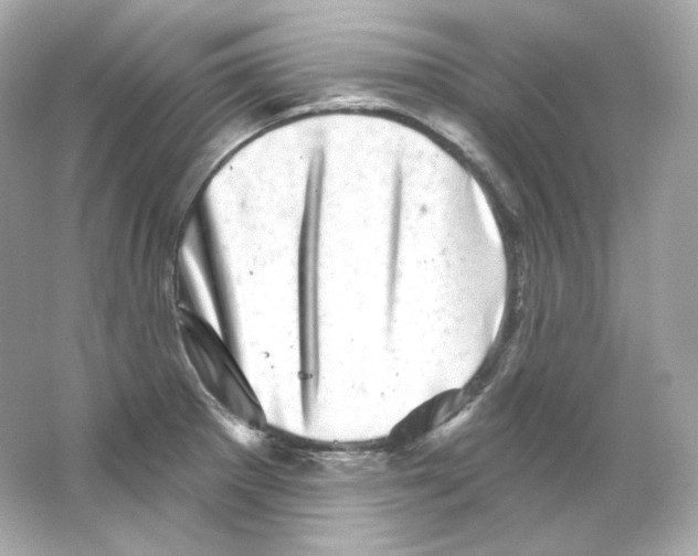 X0000065261281200603172221