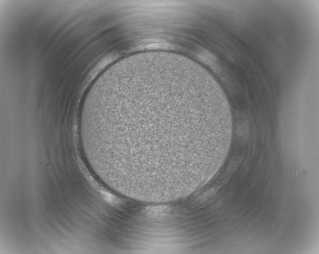 X0000065261282200603172221