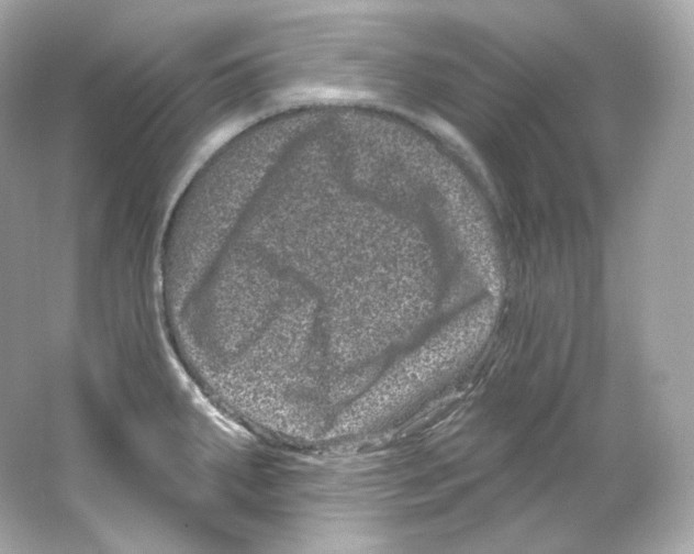 X0000065261287200603172221