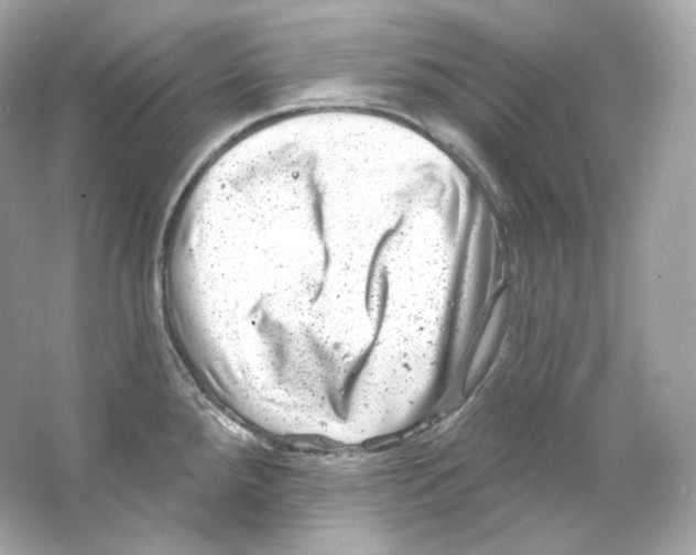 X0000065261288200603172220