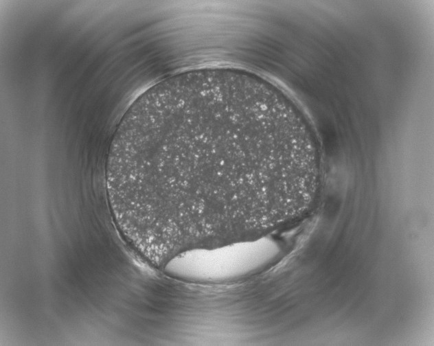 X0000065261289200603172220