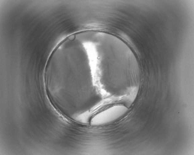 X0000065261291200603172220