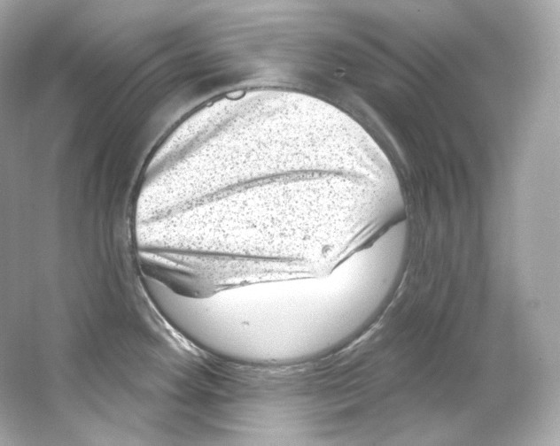 X0000065261292200603172220