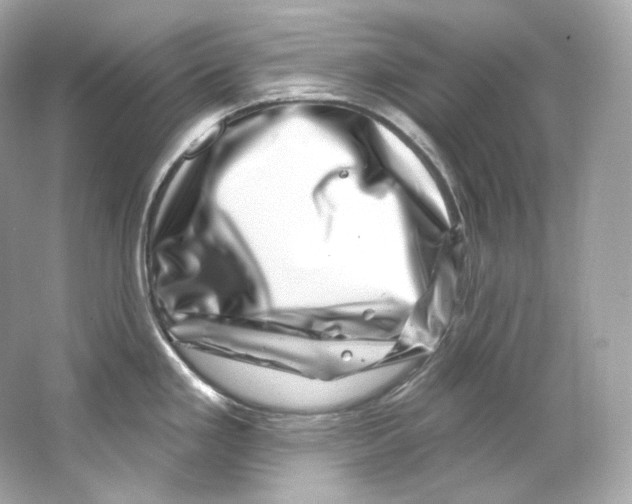 X0000065261293200603172220