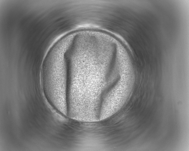 X0000065261295200603172220