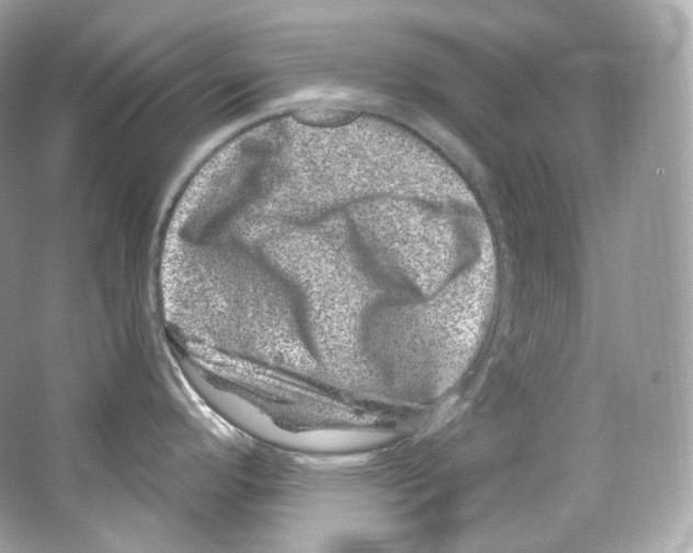 X0000065261296200603172220