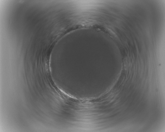 X0000065261298200603172220