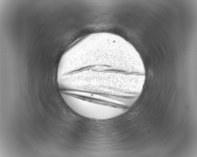 X0000065261300200603172220