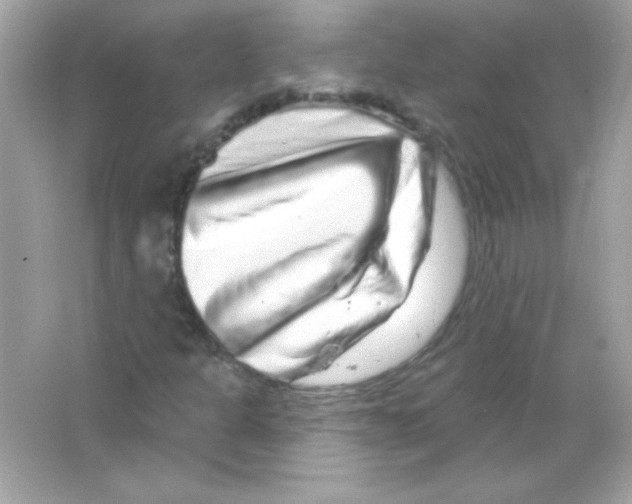 X0000065261301200603172220