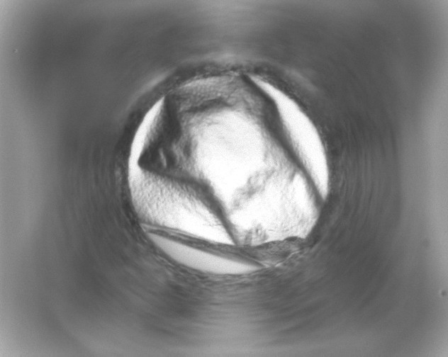 X0000065261302200603172220