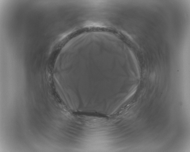 X0000065261303200603172220