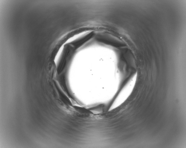 X0000065261304200603172220