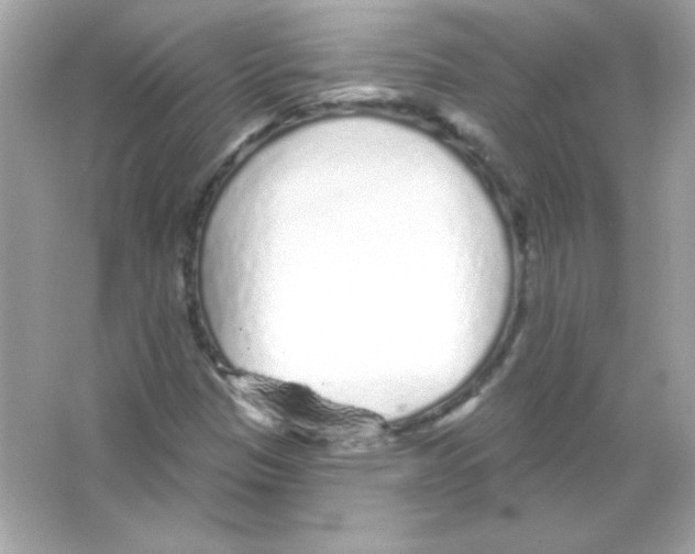 X0000065261305200603172220