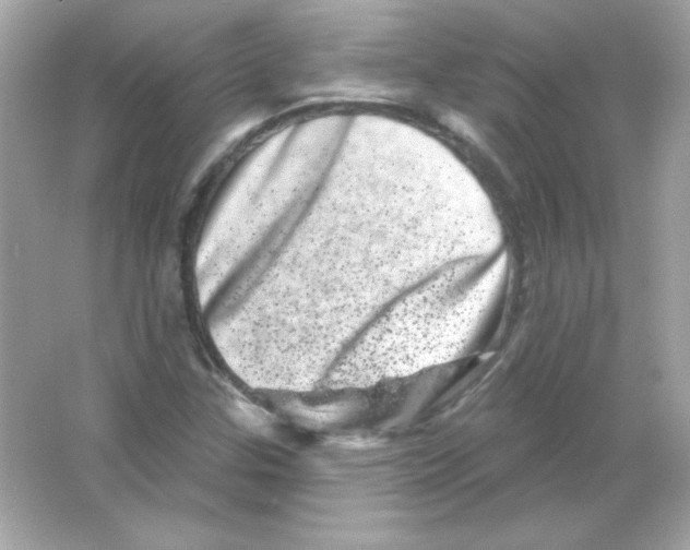 X0000065261307200603172220