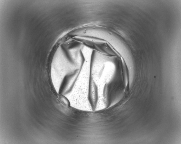 X0000065261308200603172220