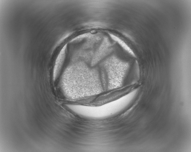 X0000065261309200603172220