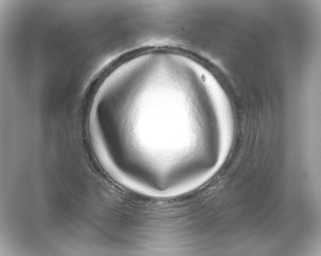 X0000065261311200603172220