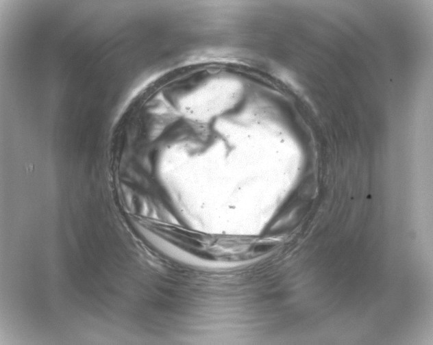 X0000065261312200603172220