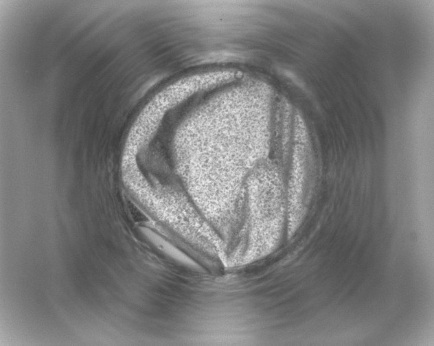 X0000065261313200603172220