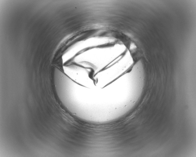 X0000065261314200603172220