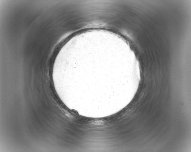 X0000065261315200603172220