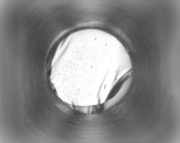 X0000065261316200603172220