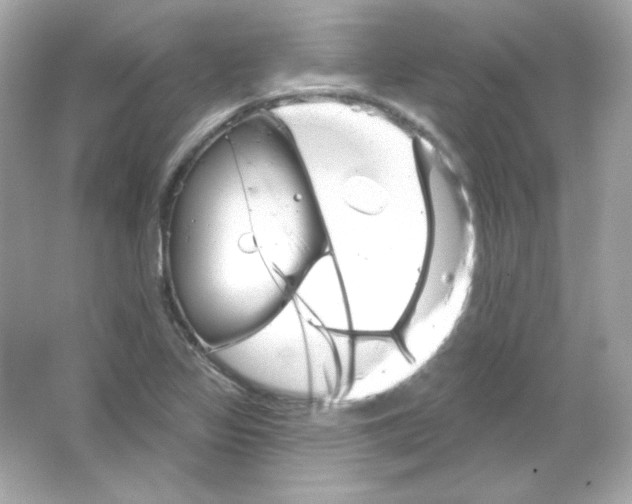 X0000065261317200603172220