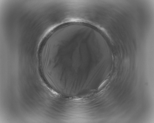 X0000065261319200603172220