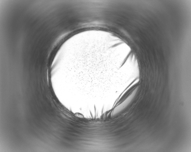 X0000065261320200603172220