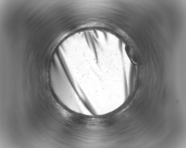 X0000065261321200603172220