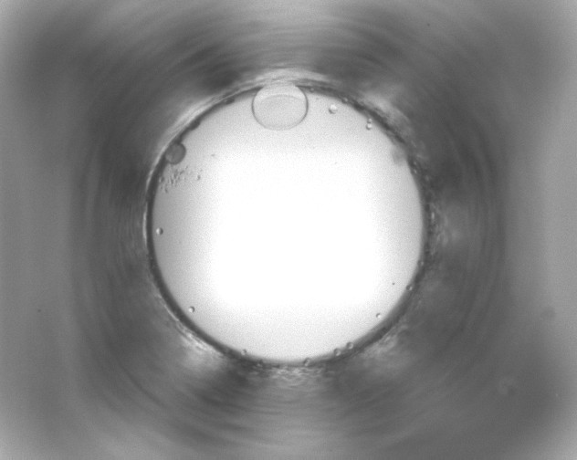 X0000065261322200603172220