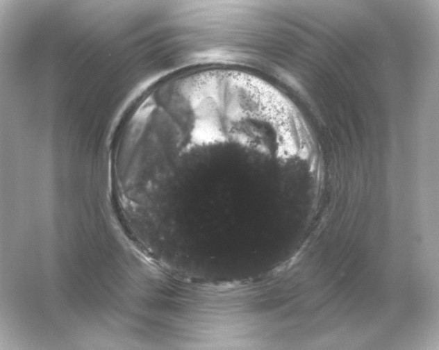 X0000065261323200603172220