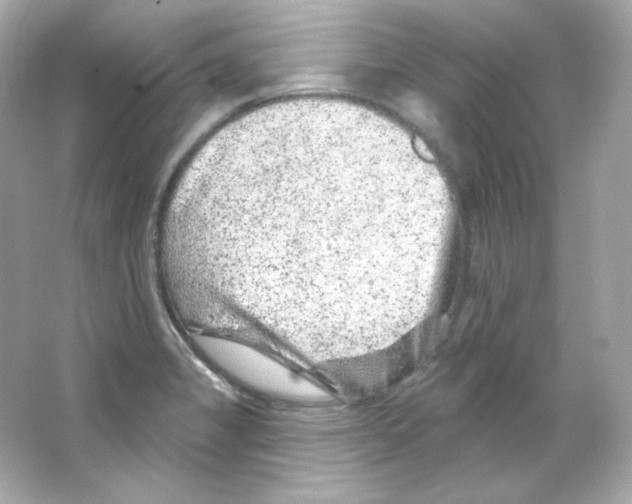 X0000065261325200603172220