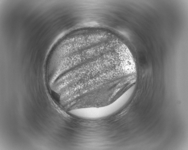 X0000065261326200603172220