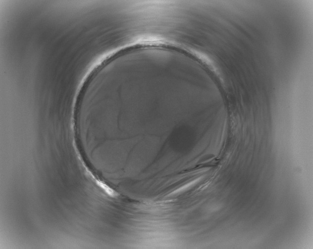 X0000065261327200603172220