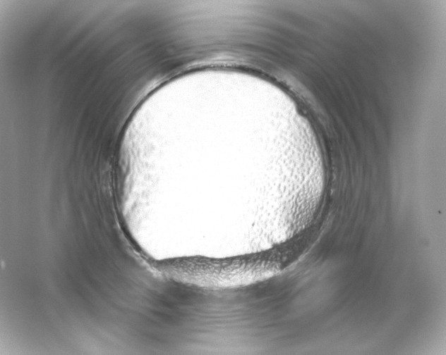 X0000065261329200603172220