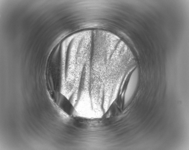 X0000065261330200603172220