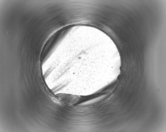 X0000065261332200603172220