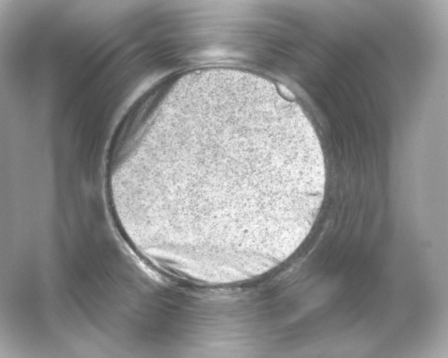 X0000065261333200603172220