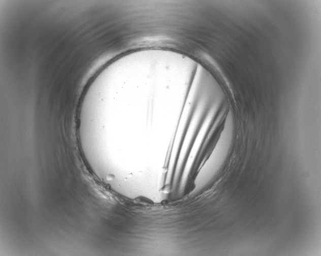 X0000065261336200603172220