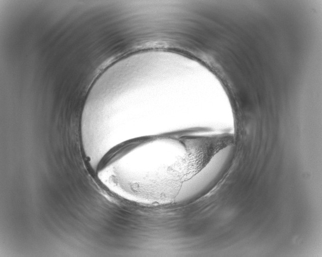 X0000065261337200603172220