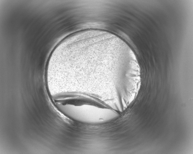 X0000065261339200603172220